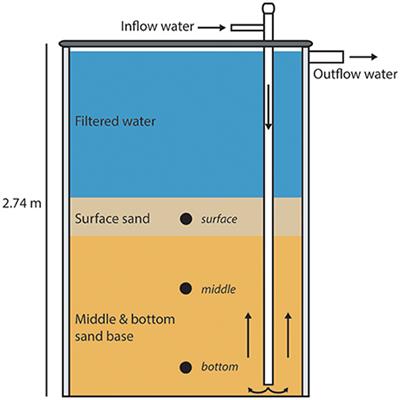 Freshwater Recirculating Aquaculture System Operations Drive Biofilter Bacterial Community Shifts around a Stable Nitrifying Consortium of Ammonia-Oxidizing Archaea and Comammox Nitrospira